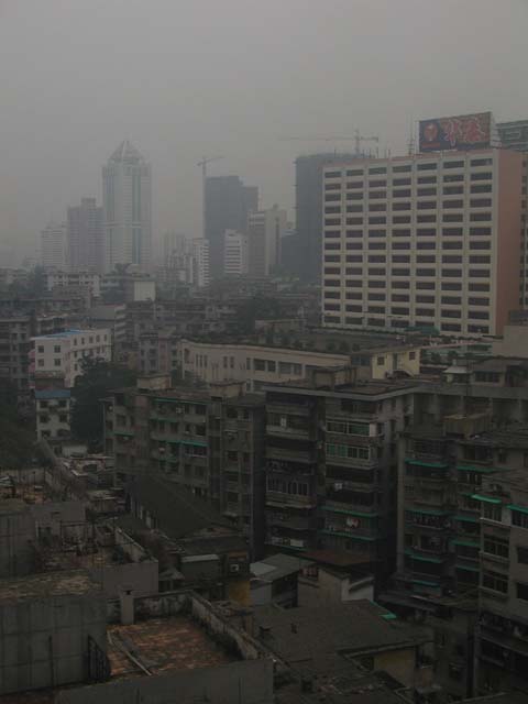 P2040012